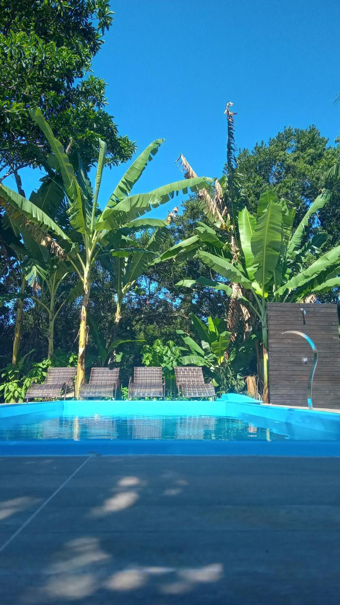 Pousada Hang Conectada Com A Natureza Florianópolis Zewnętrze zdjęcie